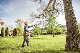 Best Pest Control for Lawns  in Blue Ridge, AL